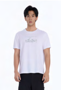 620819TX Men's Cotton Crewneck Short Sleeve T-Shirt